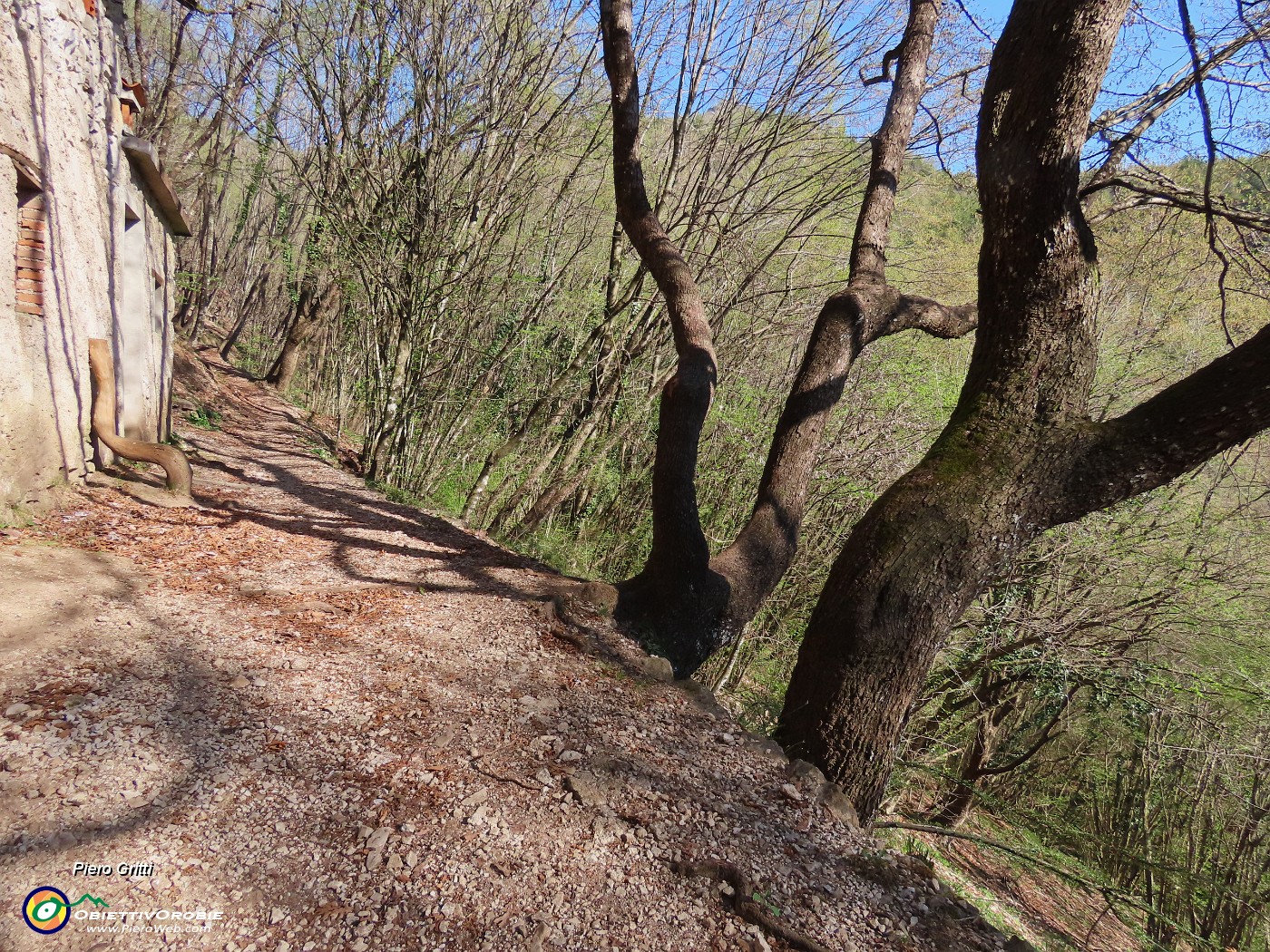 24 Curioso sedile su tronco di pianta.JPG